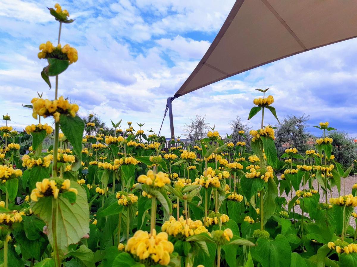 Hotel Camping Veld & Duin Bredene Zewnętrze zdjęcie