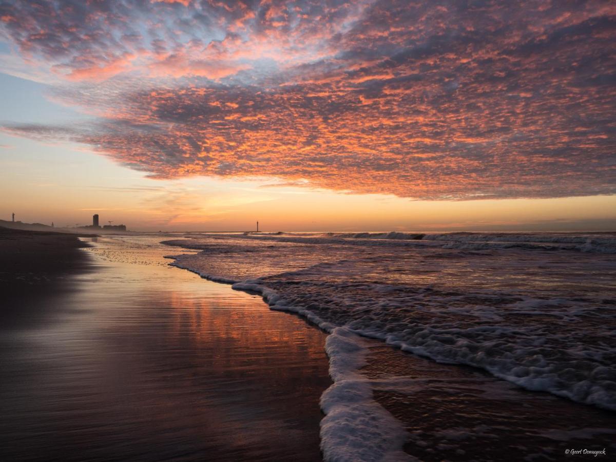 Hotel Camping Veld & Duin Bredene Zewnętrze zdjęcie